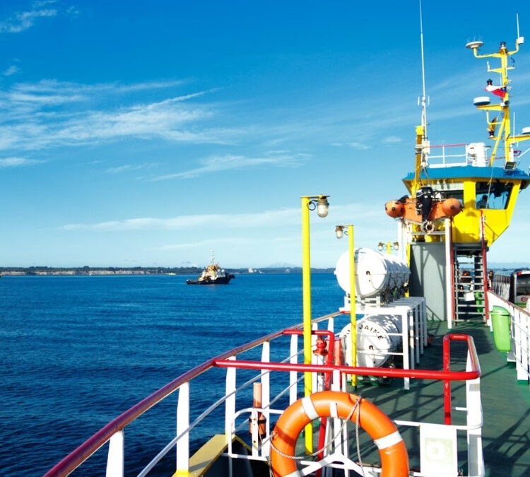 EXCURSIÓN ANCUD CASTRO Y DALCAHUE