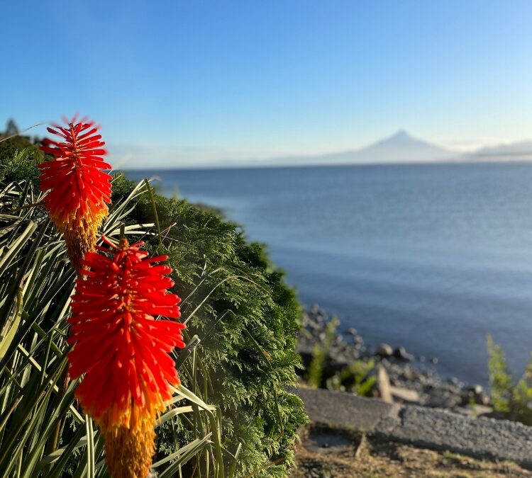 CITY TOUR PUERTO MONTT PUERTO VARAS