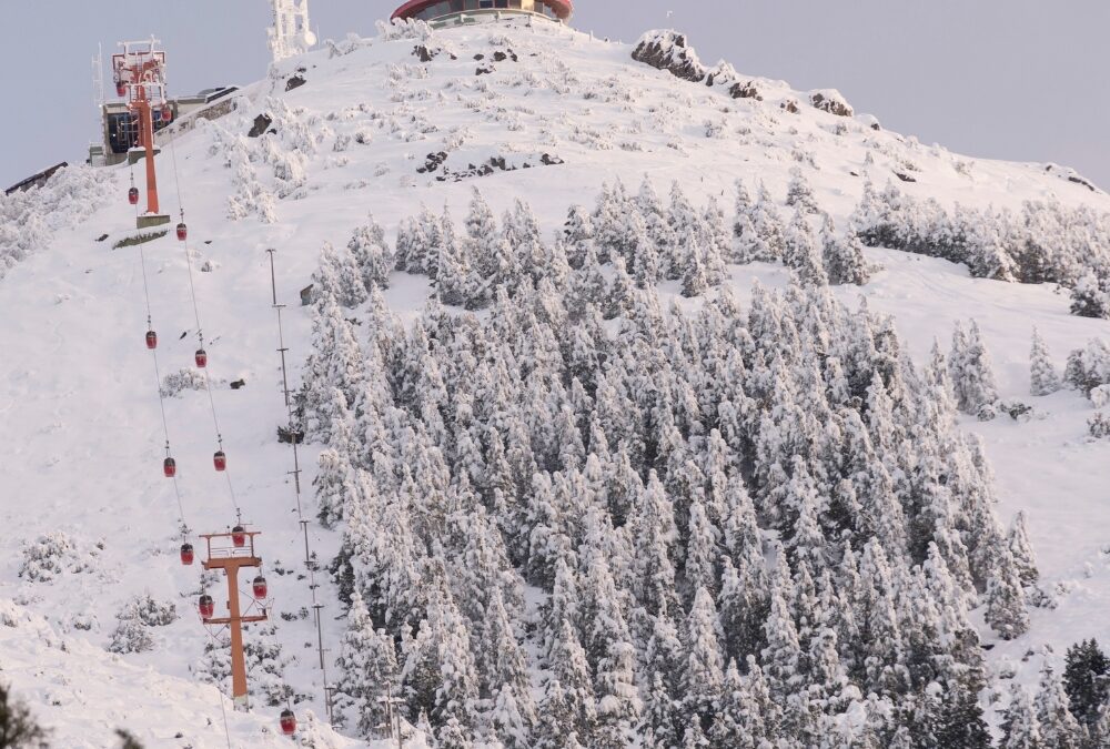 CERRO OTTO